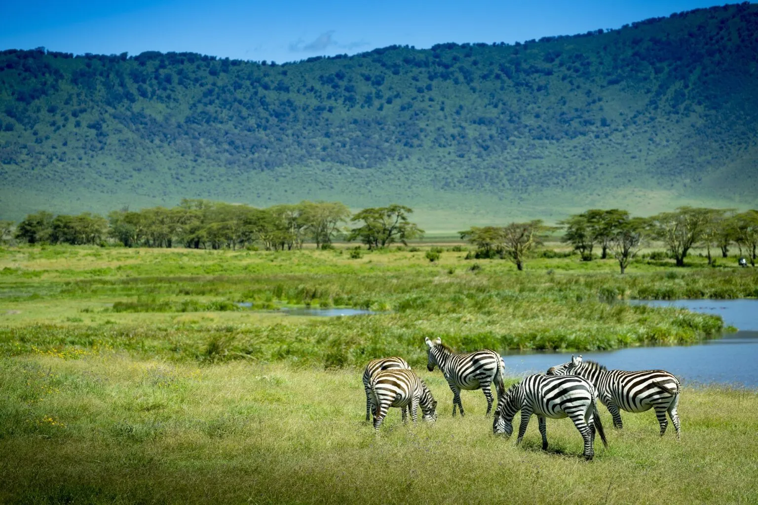 7-Day Southern Tanzania Safari – Wild & Peaceful